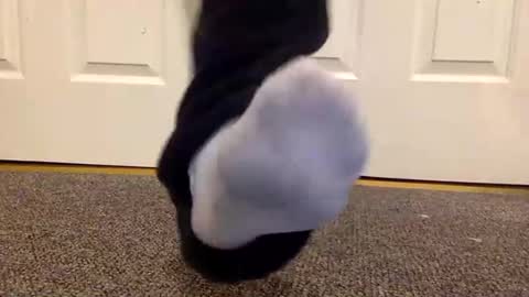 cash13bychanel online show from January 26, 2025, 1:41 am