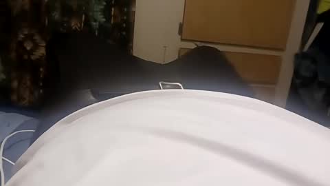 Sir Stroke Alot online show from February 23, 2025, 9:00 am