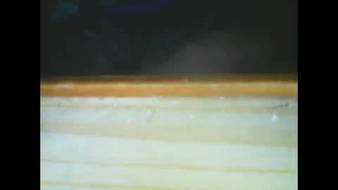 Snapshot of castells chatting on December 15, 2025, 6:01 pm castells online show from December 15, 2025, 6:01 pm