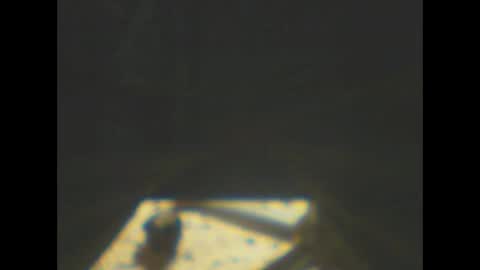 Snapshot of castells chatting on January 8, 2026, 5:59 pm castells online show from January 8, 2026, 5:59 pm