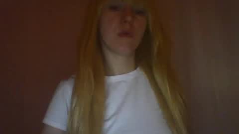 cat_2019 online show from March 12, 2025, 12:31 am