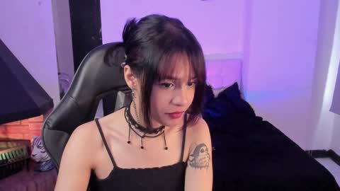 Snapshot of catarsiss_moon chatting on December 24, 2024, 4:30 pm Cat online show from December 24, 2024, 4:30 pm