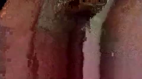 catdaddy179057 online show from March 12, 2026, 10:54 am