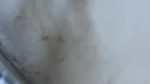 ccwwa01 online show from May 8, 2026, 6:52 am