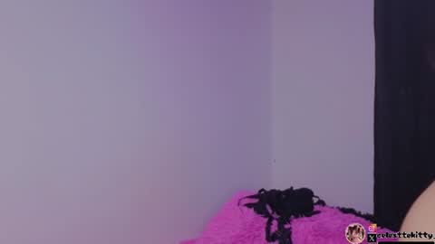 Snapshot of celestte_evans_1 chatting on July 9, 2026, 6:17 am celestte_evans_1 online show from July 9, 2026, 6:17 am