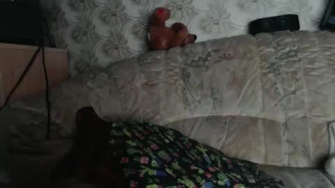 chacoa online show from January 18, 2026, 12:09 pm