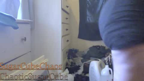 Snapshot of chaoticsugarcube chatting on January 2, 2025, 11:38 pm chaoticsugarcube online show from January 2, 2025, 11:38 pm