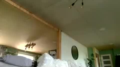 Snapshot of charlie_stone34 chatting on August 6, 2026, 3:03 pm I am Charlie online show from August 6, 2026, 3:03 pm