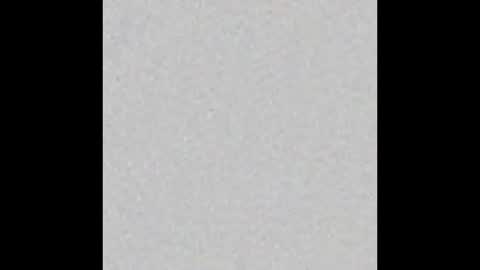 Charlotte online show from November 8, 2025, 7:01 pm