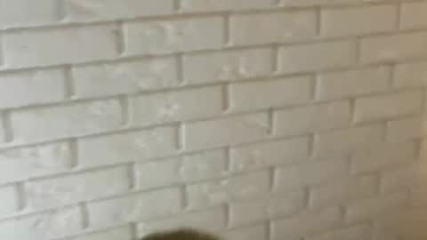 charlottebunnyuwu online show from February 12, 2025, 2:35 am