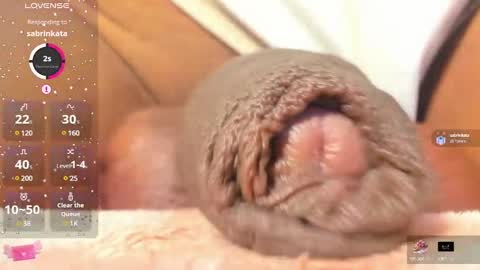 Snapshot of charlottelaurent chatting on February 25, 2025, 11:11 pm Char online show from February 25, 2025, 11:11 pm