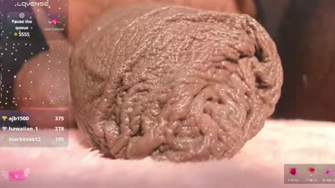 Snapshot of charlottelaurent chatting on March 10, 2025, 1:01 am Char online show from March 10, 2025, 1:01 am