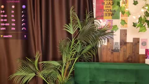 Lissa online show from February 1, 2025, 10:15 am