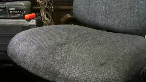 chefy online show from February 5, 2025, 3:31 pm