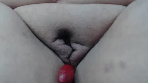 Cheila online show from February 24, 2026, 10:08 pm