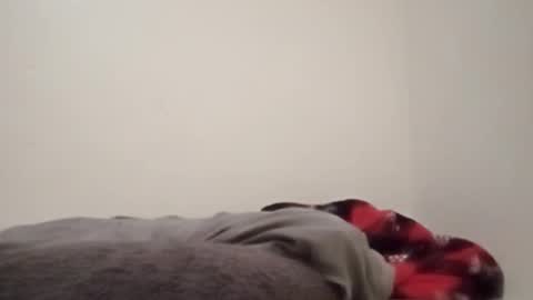 Snapshot of chemicalx_ chatting on February 4, 2026, 11:31 pm ChemicalX online show from February 4, 2026, 11:31 pm