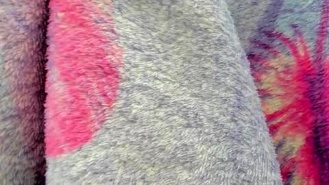 Mia online show from October 6, 2025, 9:40 am