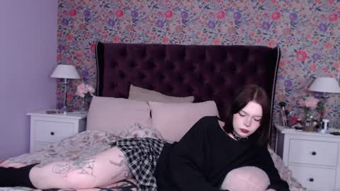 amelia online show from December 24, 2024, 9:17 am