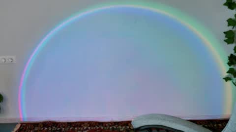 Bella online show from February 11, 2026, 9:14 am