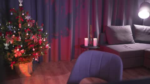 Snapshot of chillwithstacy chatting on December 28, 2024, 11:16 pm chillwithstacy online show from December 28, 2024, 11:16 pm