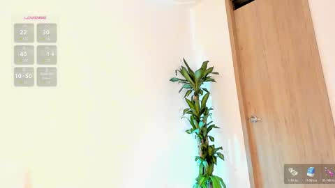    Schedule 7am to 2pm Col online show from February 11, 2026, 11:59 am