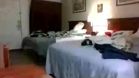 choclate_choctaw online show from July 23, 2026, 1:58 am