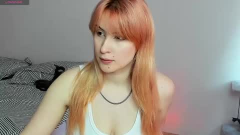 choco_meowx online show from May 21, 2026, 9:16 am
