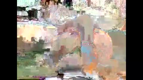 JANE online show from January 18, 2025, 12:15 pm