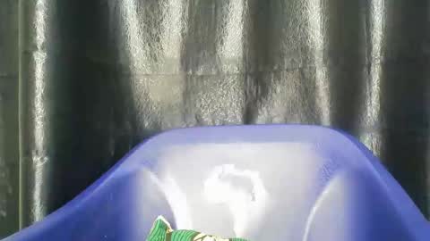 chocoslut22 online show from December 14, 2025, 3:45 am