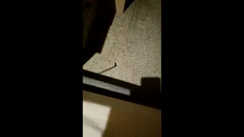 chrisgogo121 online show from November 17, 2025, 10:26 pm