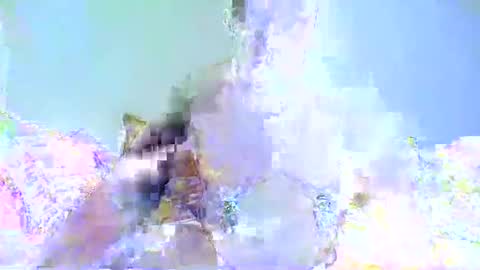 Snapshot of chrispainpig chatting on January 7, 2025, 3:33 pm Chrispainpig torture bdsm masochist slave submissive hardcore anal CBT humiliation online show from January 7, 2025, 3:33 pm