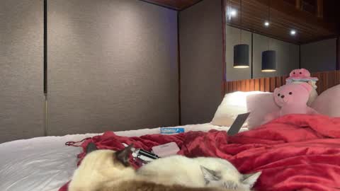 Christina Sage online show from September 18, 2025, 4:03 am