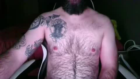chub bear 99 online show from May 26, 2026, 10:44 am