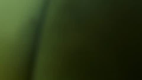 chuckyschick69 online show from December 3, 2025, 4:53 am