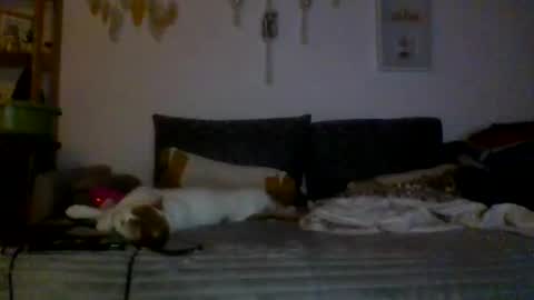 ciasnsyrize1996 online show from March 4, 2025, 9:54 pm