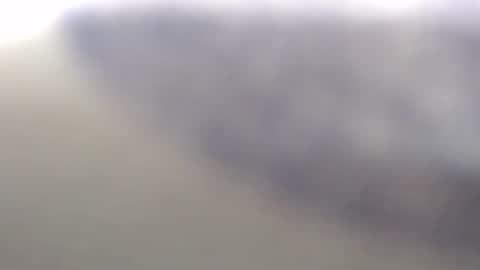 clamsynana online show from March 22, 2026, 2:09 pm