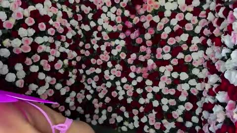 Snapshot of clara_tenssio chatting on December 23, 2024, 6:44 am Clara online show from December 23, 2024, 6:44 am