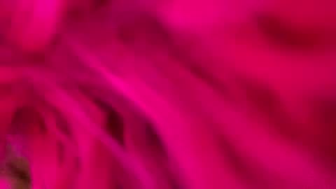 Snapshot of clarkshammer95 chatting on March 3, 2025, 9:26 pm clarkshammer95 online show from March 3, 2025, 9:26 pm