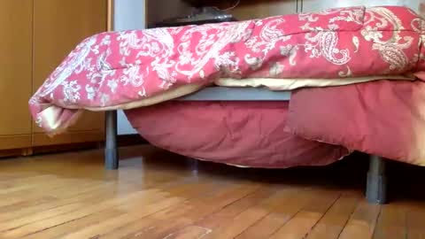 Snapshot of claudi779 chatting on December 29, 2024, 3:24 pm claudi779 online show from December 29, 2024, 3:24 pm