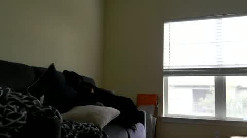 instayour big commander online show from December 24, 2024, 9:22 pm