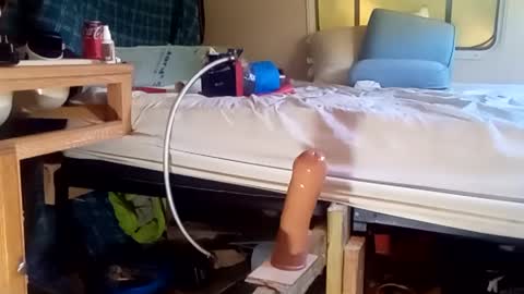 HeyTurkeyBoy online show from September 19, 2025, 9:48 pm