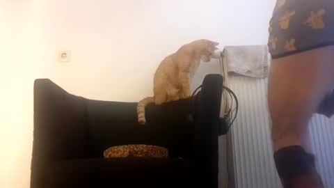 cockholder420 online show from November 23, 2025, 9:09 am