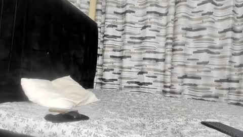 Snapshot of coco_leila chatting on January 29, 2025, 4:47 am coco_leila online show from January 29, 2025, 4:47 am