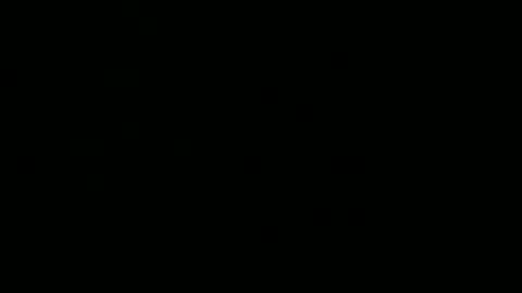 chanel online show from January 11, 2026, 7:57 am