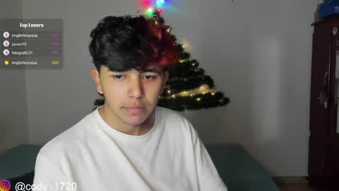 Snapshot of cody_evanss chatting on December 28, 2024, 1:17 pm cody online show from December 28, 2024, 1:17 pm