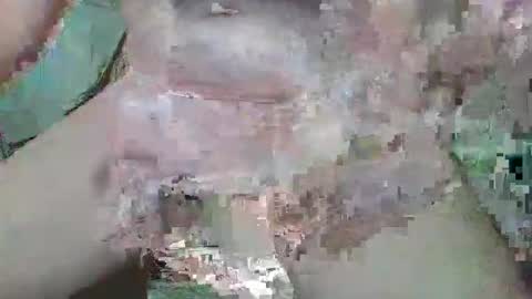 cogela_sin_miedo online show from October 20, 2025, 11:27 pm