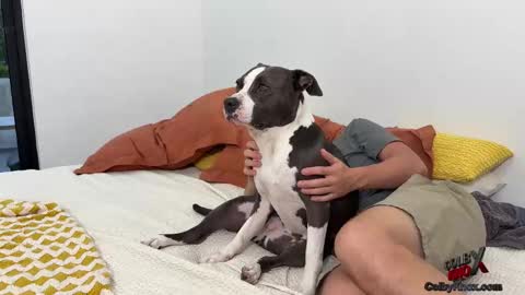 colbyknox online show from November 4, 2025, 10:53 pm