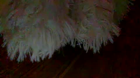 colobby007 online show from March 12, 2025, 11:33 pm
