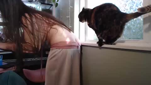 ANR Mommy online show from September 26, 2025, 8:24 pm