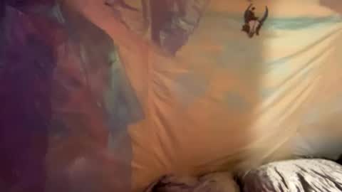 coochiechakrahealer online show from December 30, 2024, 9:48 am